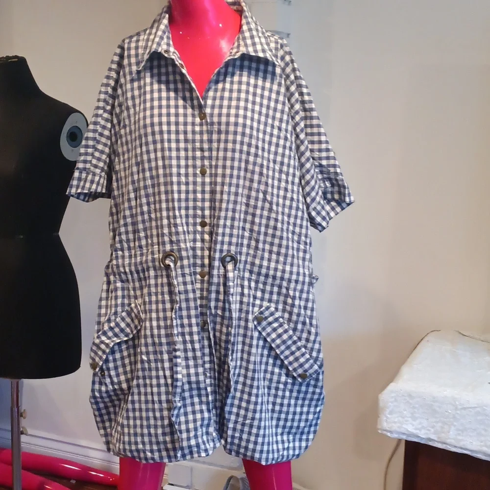 H&M (Trend) Gray and White Gingham Shirt Dress - Picture 1 of 8
